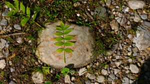 P1080074 (2)